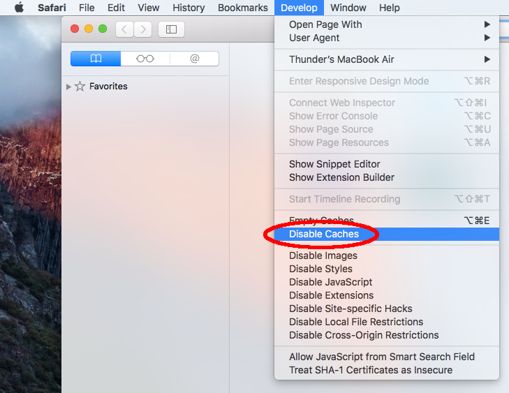 disable cache safari developer tools